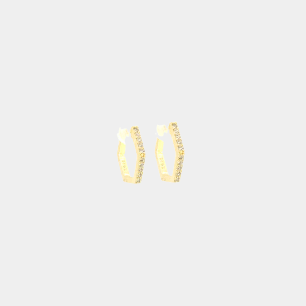 Pierre Earrings