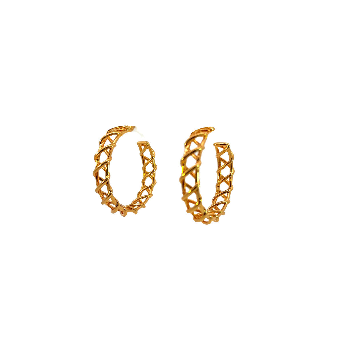 Hoop Earrings