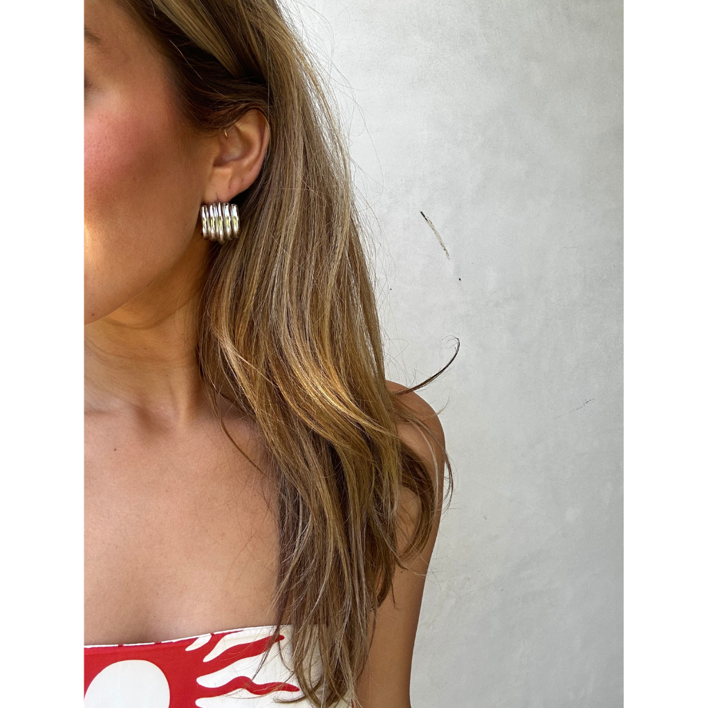 Bari Earrings Silver